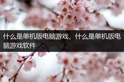 什么是单机版电脑游戏，什么是单机版电脑游戏软件