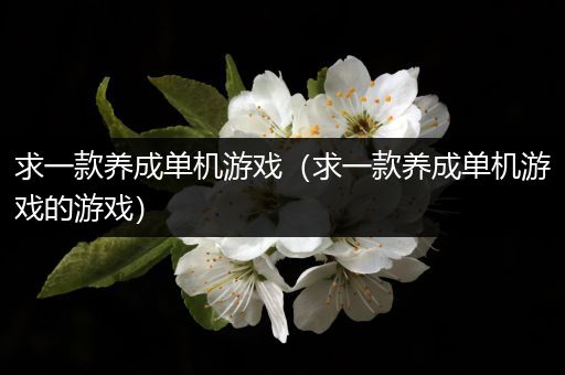 求一款养成单机游戏（求一款养成单机游戏的游戏）