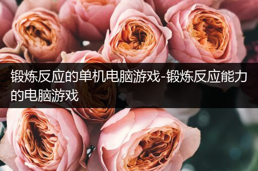 锻炼反应的单机电脑游戏-锻炼反应能力的电脑游戏