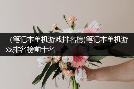 （笔记本单机游戏排名榜)笔记本单机游戏排名榜前十名