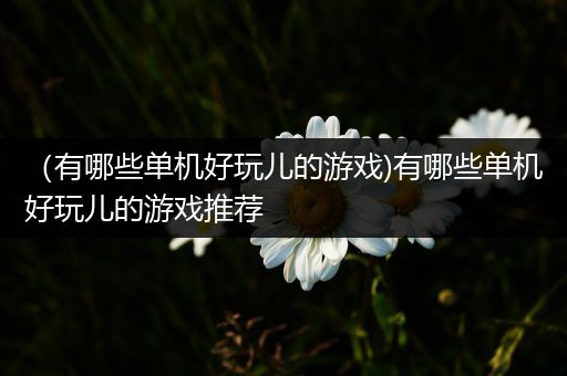 （有哪些单机好玩儿的游戏)有哪些单机好玩儿的游戏推荐