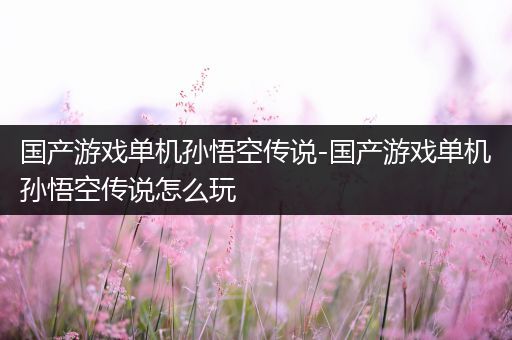 国产游戏单机孙悟空传说-国产游戏单机孙悟空传说怎么玩