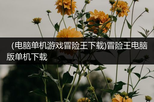 （电脑单机游戏冒险王下载)冒险王电脑版单机下载