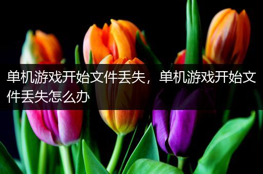 单机游戏开始文件丢失，单机游戏开始文件丢失怎么办