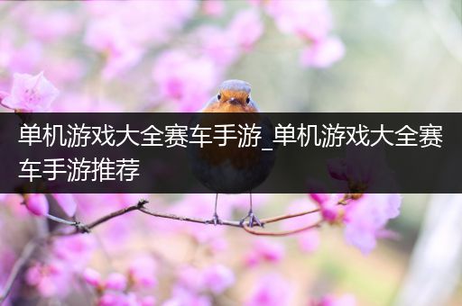 单机游戏大全赛车手游_单机游戏大全赛车手游推荐