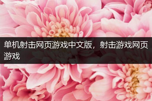 单机射击网页游戏中文版，射击游戏网页游戏