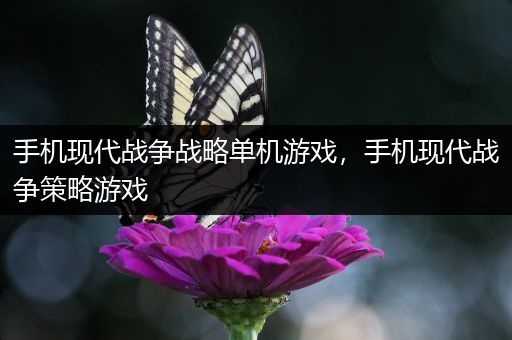 手机现代战争战略单机游戏，手机现代战争策略游戏
