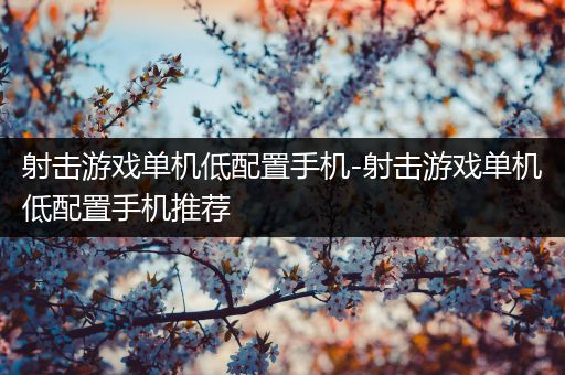 射击游戏单机低配置手机-射击游戏单机低配置手机推荐