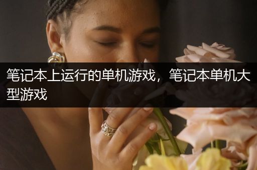 笔记本上运行的单机游戏，笔记本单机大型游戏