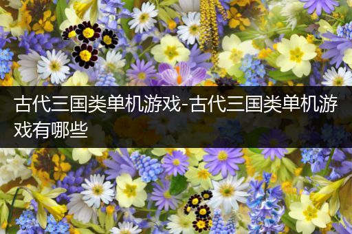 古代三国类单机游戏-古代三国类单机游戏有哪些
