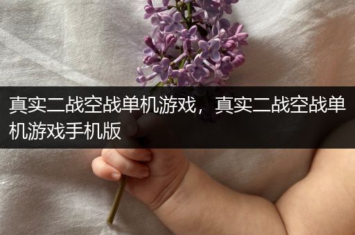 真实二战空战单机游戏，真实二战空战单机游戏手机版