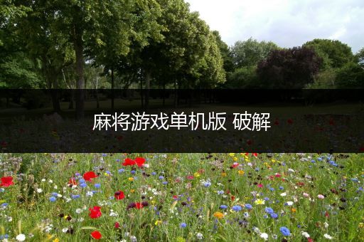 麻将游戏单机版 破解