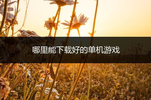 哪里能下载好的单机游戏