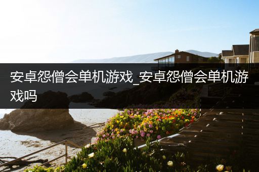 安卓怨僧会单机游戏_安卓怨僧会单机游戏吗