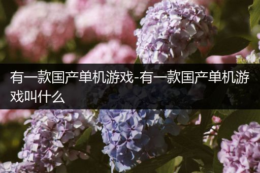 有一款国产单机游戏-有一款国产单机游戏叫什么