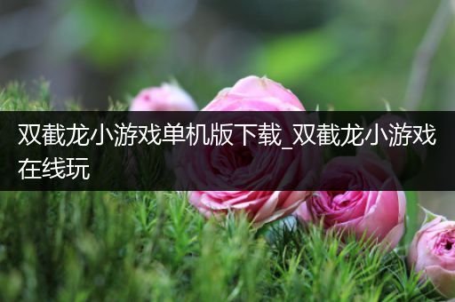 双截龙小游戏单机版下载_双截龙小游戏在线玩