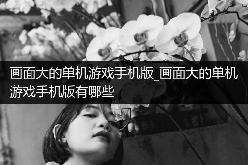 画面大的单机游戏手机版_画面大的单机游戏手机版有哪些