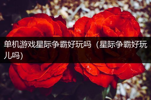 单机游戏星际争霸好玩吗（星际争霸好玩儿吗）