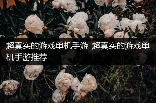 超真实的游戏单机手游-超真实的游戏单机手游推荐