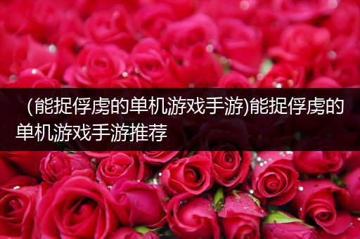 （能捉俘虏的单机游戏手游)能捉俘虏的单机游戏手游推荐