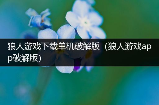狼人游戏下载单机破解版（狼人游戏app破解版）