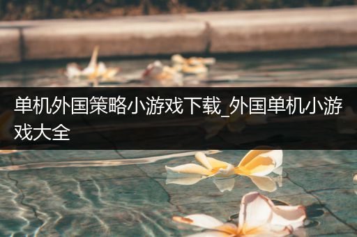 单机外国策略小游戏下载_外国单机小游戏大全