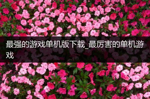 最强的游戏单机版下载_最厉害的单机游戏