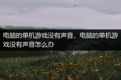 电脑的单机游戏没有声音，电脑的单机游戏没有声音怎么办