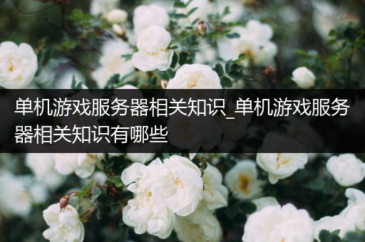 单机游戏服务器相关知识_单机游戏服务器相关知识有哪些