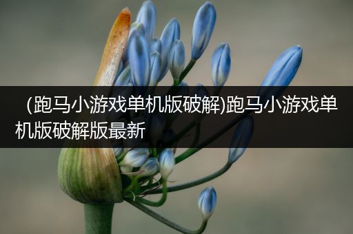 （跑马小游戏单机版破解)跑马小游戏单机版破解版最新