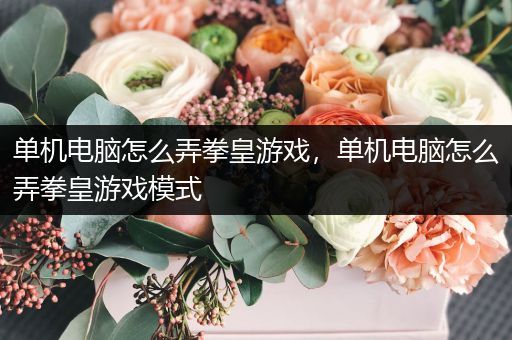 单机电脑怎么弄拳皇游戏，单机电脑怎么弄拳皇游戏模式