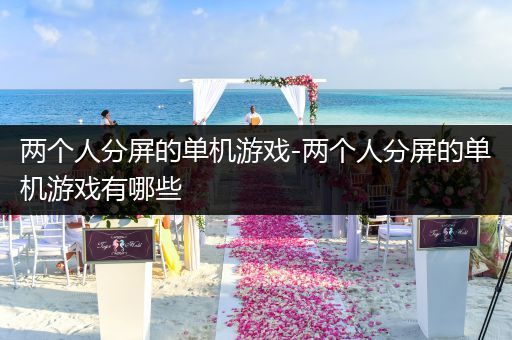 两个人分屏的单机游戏-两个人分屏的单机游戏有哪些