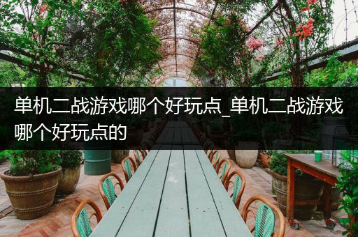 单机二战游戏哪个好玩点_单机二战游戏哪个好玩点的