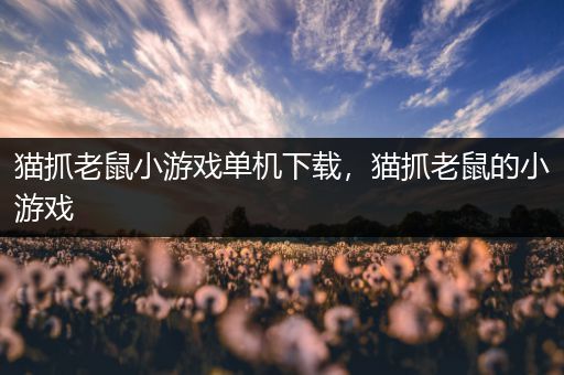 猫抓老鼠小游戏单机下载，猫抓老鼠的小游戏