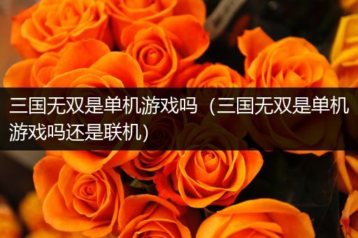 三国无双是单机游戏吗（三国无双是单机游戏吗还是联机）