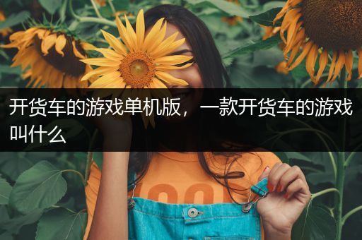 开货车的游戏单机版，一款开货车的游戏叫什么