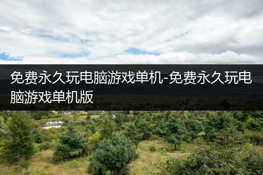 免费永久玩电脑游戏单机-免费永久玩电脑游戏单机版