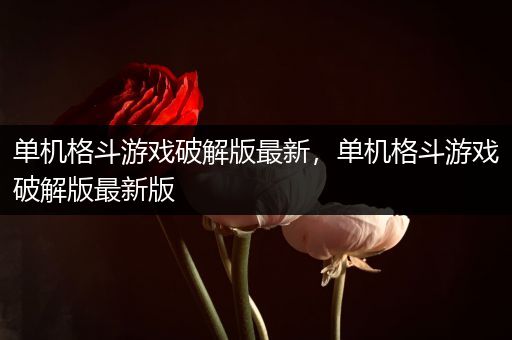 单机格斗游戏破解版最新，单机格斗游戏破解版最新版