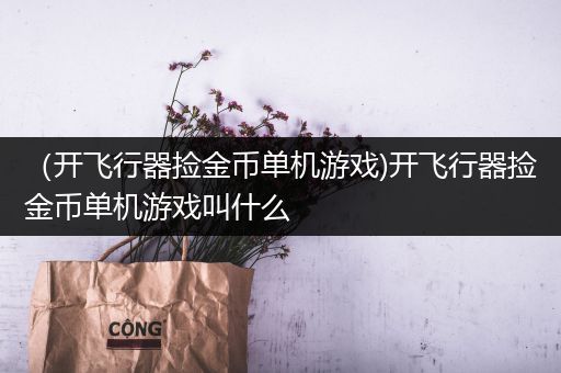 （开飞行器捡金币单机游戏)开飞行器捡金币单机游戏叫什么