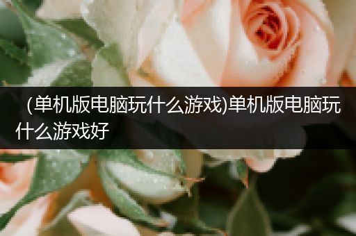 （单机版电脑玩什么游戏)单机版电脑玩什么游戏好