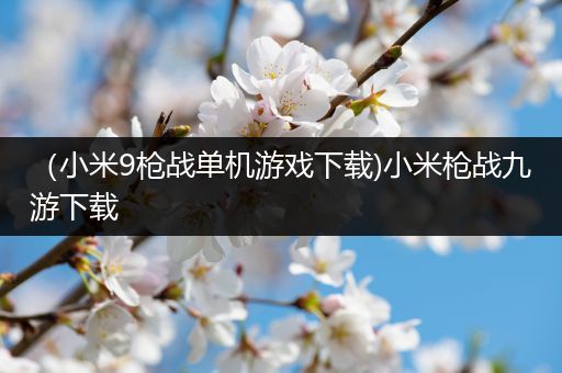 （小米9枪战单机游戏下载)小米枪战九游下载