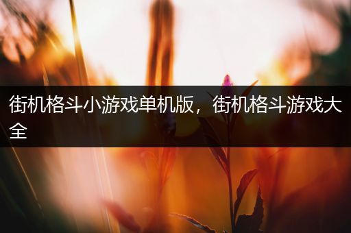街机格斗小游戏单机版，街机格斗游戏大全