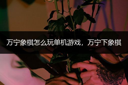 万宁象棋怎么玩单机游戏，万宁下象棋