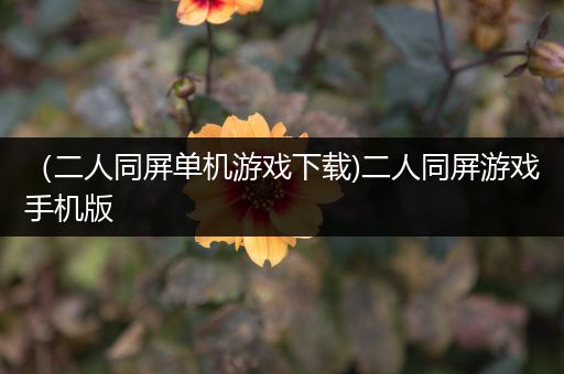 （二人同屏单机游戏下载)二人同屏游戏手机版
