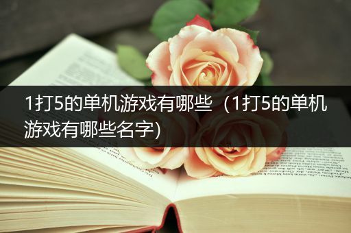 1打5的单机游戏有哪些（1打5的单机游戏有哪些名字）