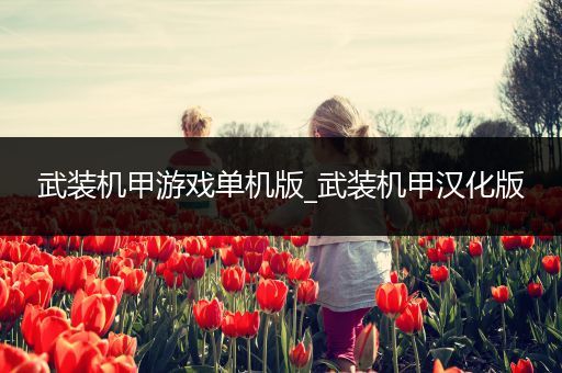 武装机甲游戏单机版_武装机甲汉化版