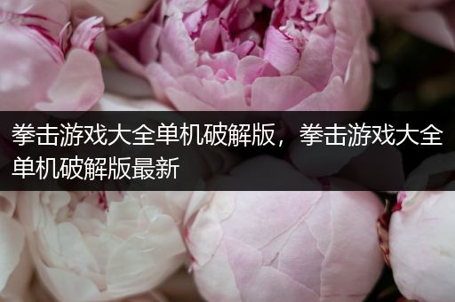 拳击游戏大全单机破解版，拳击游戏大全单机破解版最新