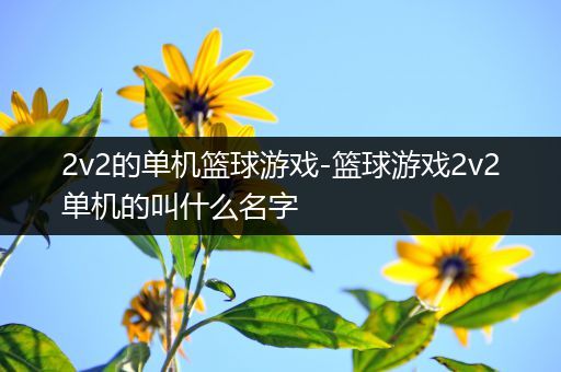 2v2的单机篮球游戏-篮球游戏2v2单机的叫什么名字