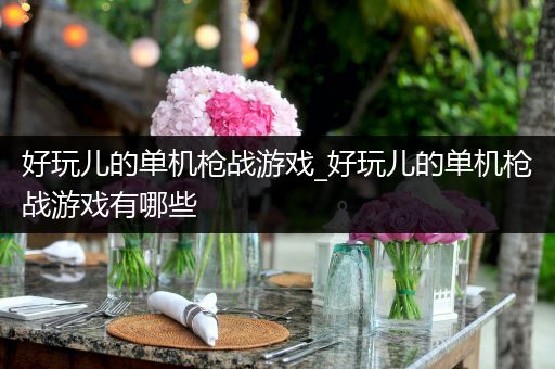 好玩儿的单机枪战游戏_好玩儿的单机枪战游戏有哪些