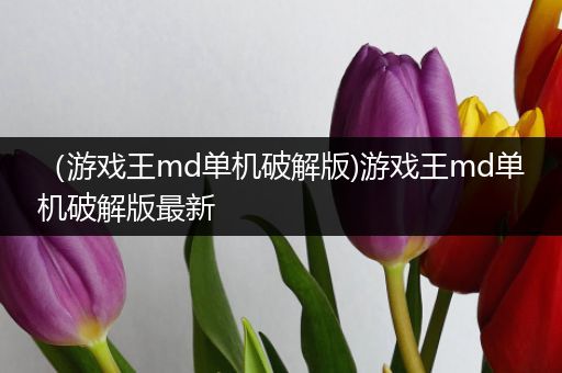 （游戏王md单机破解版)游戏王md单机破解版最新